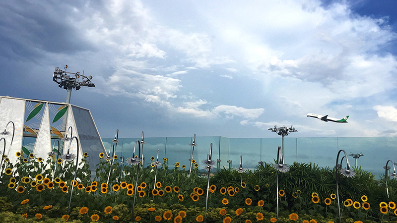 Planes take off over the Sunflower Garden at Changi Airport’s Terminal 2